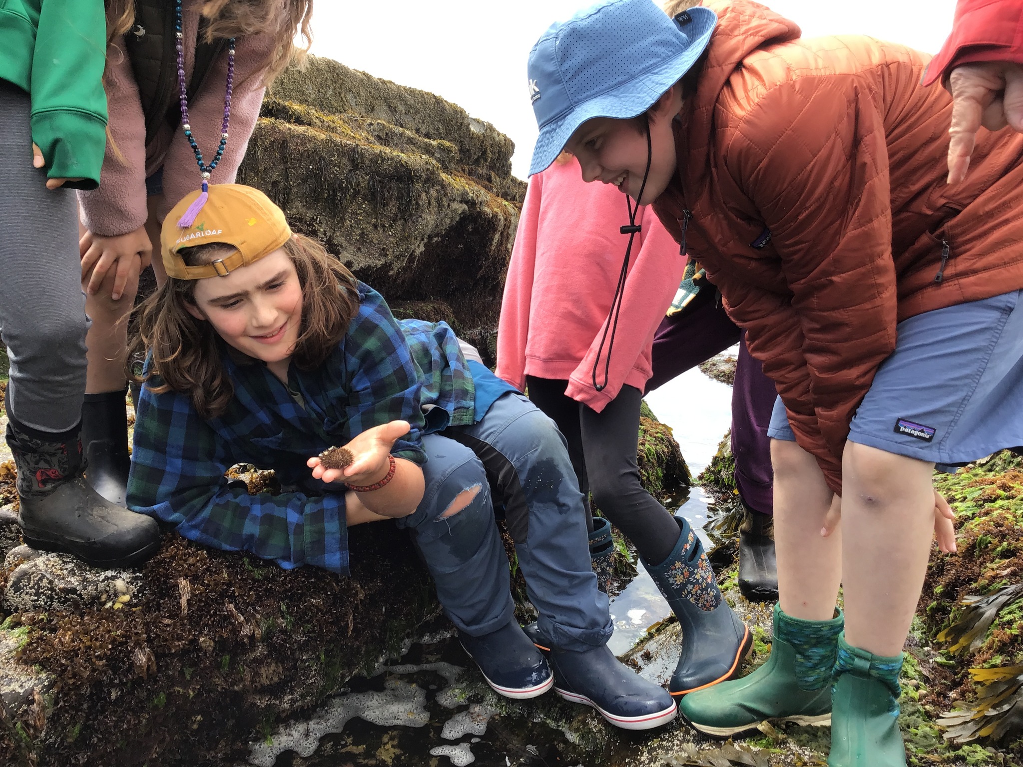 Childhood should be full of wonder, discovery, and joy. Brightfield preserves that magic while offering a rigorous, meaningful education. Here, students explore, question, and create every day, making school something they look forward to.