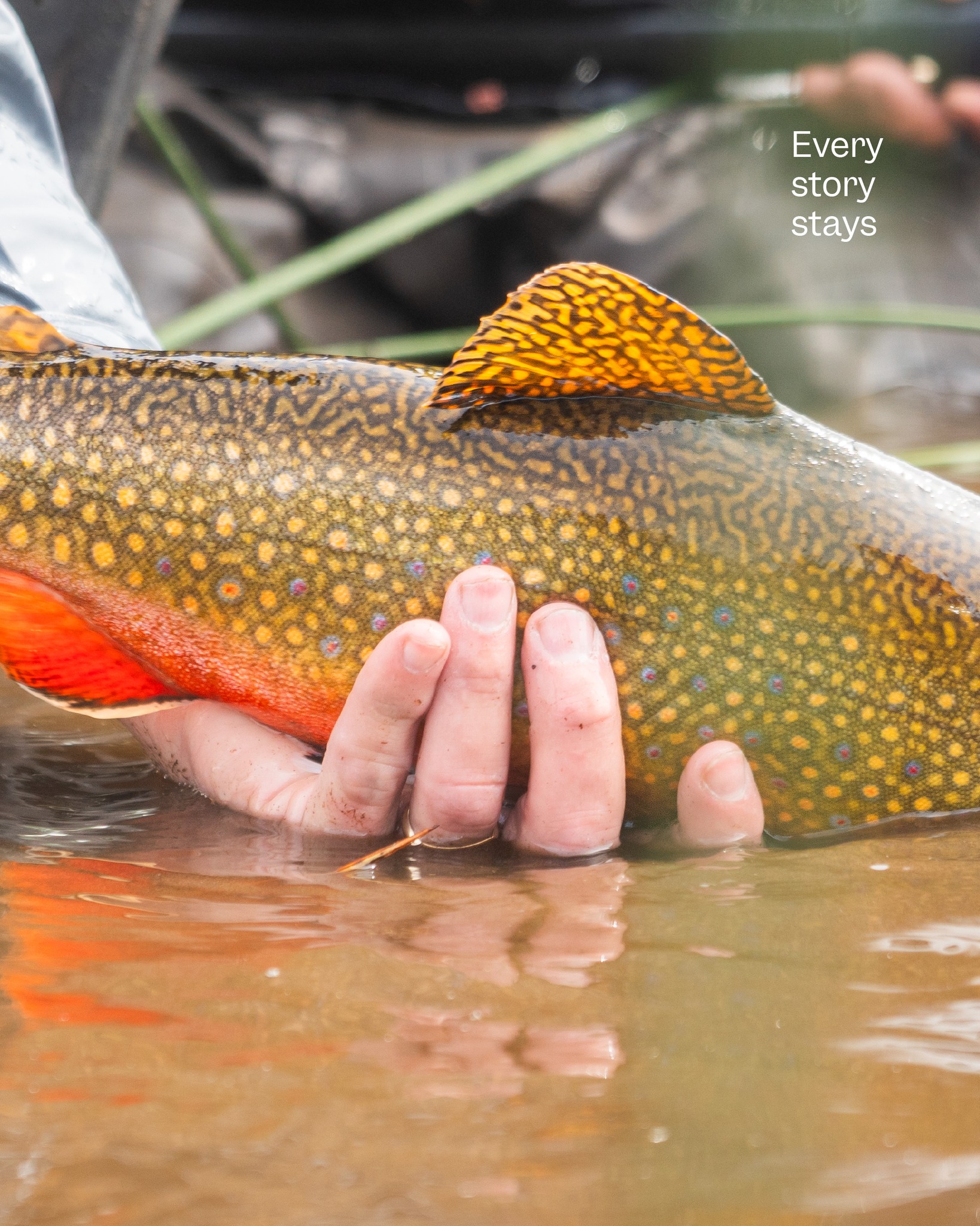 The season is coming to an end, but the moments stay.
Thank you for being part of it.
See you on the river again.
La temporada llega a su fin, pero los momentos quedan.
Gracias por ser parte.
Nos vemos en el río.
#SteppePatagonia #FlyFishing #GlampingLife