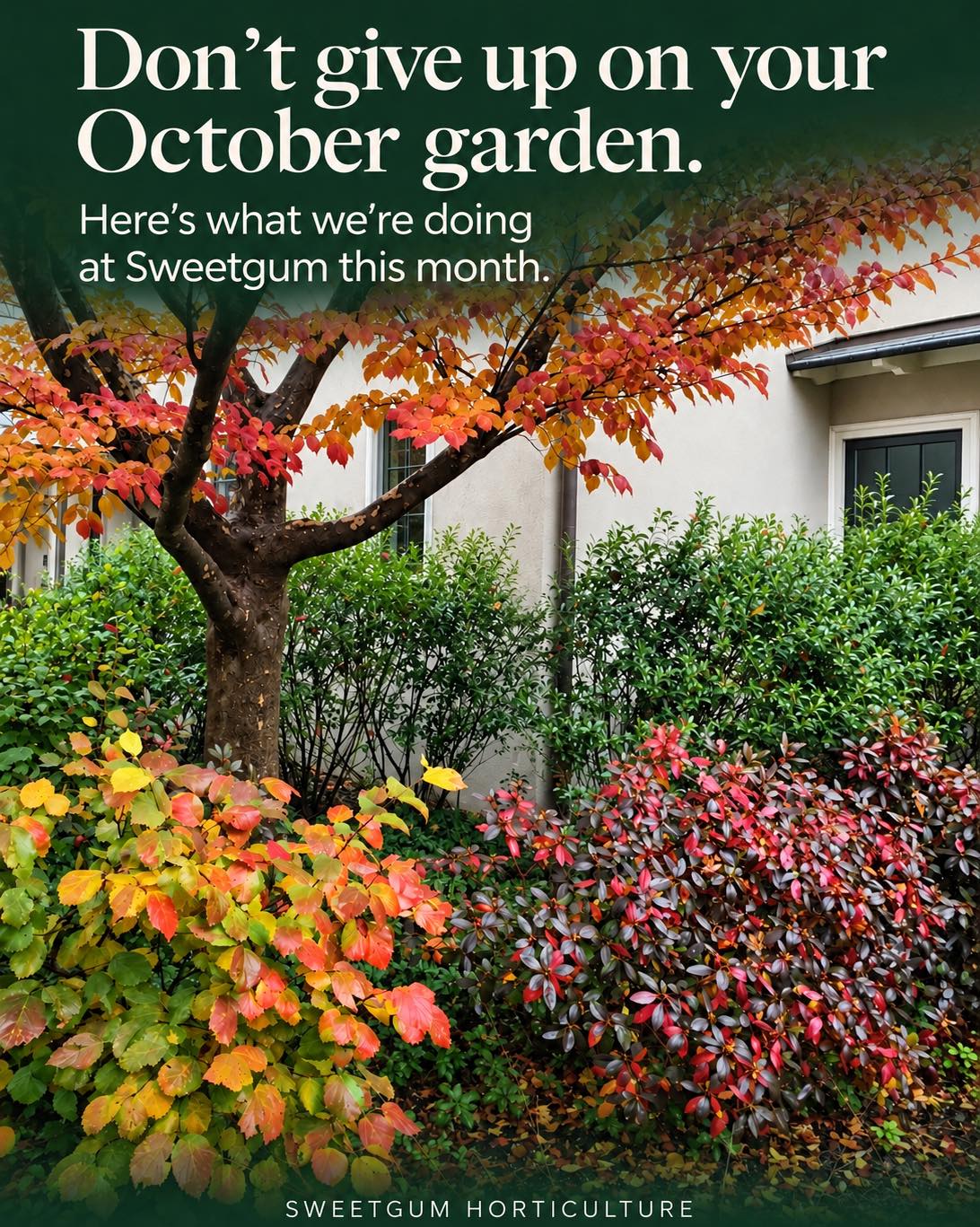 Your October garden still needs you.At Sweetgum, fall care means preparing for next spring while....