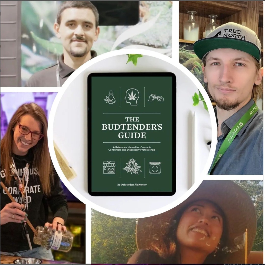 🔥Exciting news from @oaksterdamuniversity! High Ri…