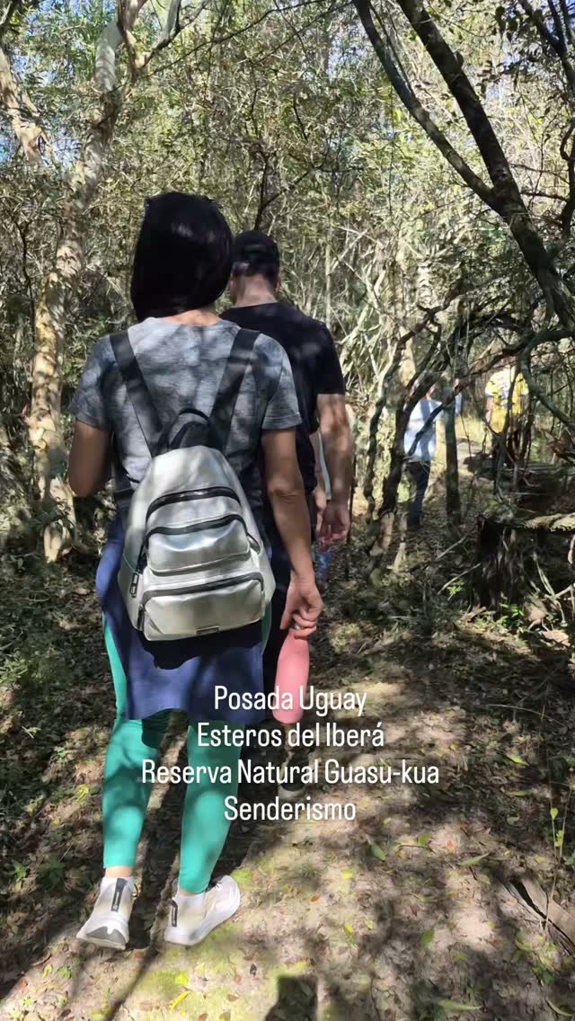 Recorriendo los senderos de la Reserva Natural Guasu-kua, observando su flora y fauna autóctona.
#posadauguay #esterosdelibera #portaluguay #avesdelibera #safarisfotograficos