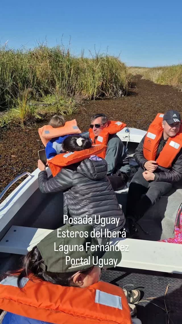 Observando ejemplar de yacare negro en la laguna Fernández
#posadauguay #esterosdelibera #portaluguay #safarisfotograficos #avesdeliberá birdswatching