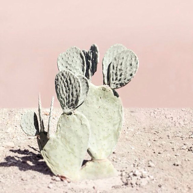 Image by: boldleapcreative