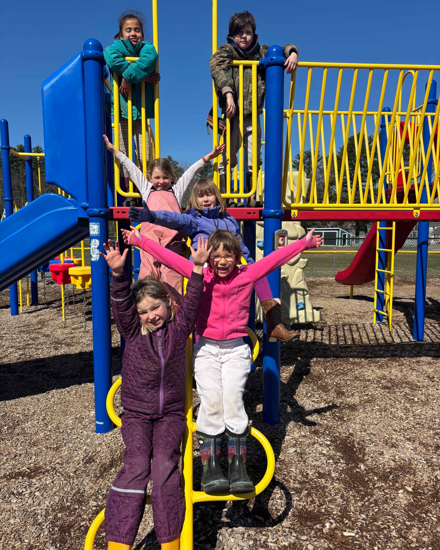Check out our latest newsletter for more about our upcoming Swing into Spring event, kindergarten admissions, and a spotlight on the 5th-grade experience at Brightfield! You can find the link in our bio.