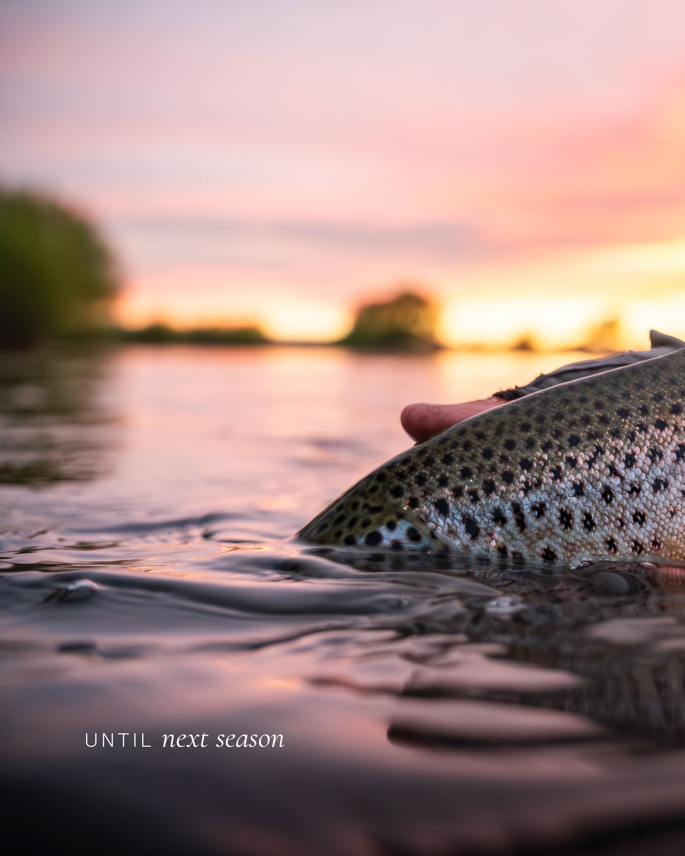 A season full of shared moments, great days on the river and unforgettable experiences.
Thank you for choosing Patagonia Steppe Outfitters.
Una temporada llena de momentos compartidos, grandes días en el río y experiencias inolvidables.
Gracias por elegir Patagonia Steppe Outfitters.
#SteppePatagonia #FlyFishing #GlampingLife