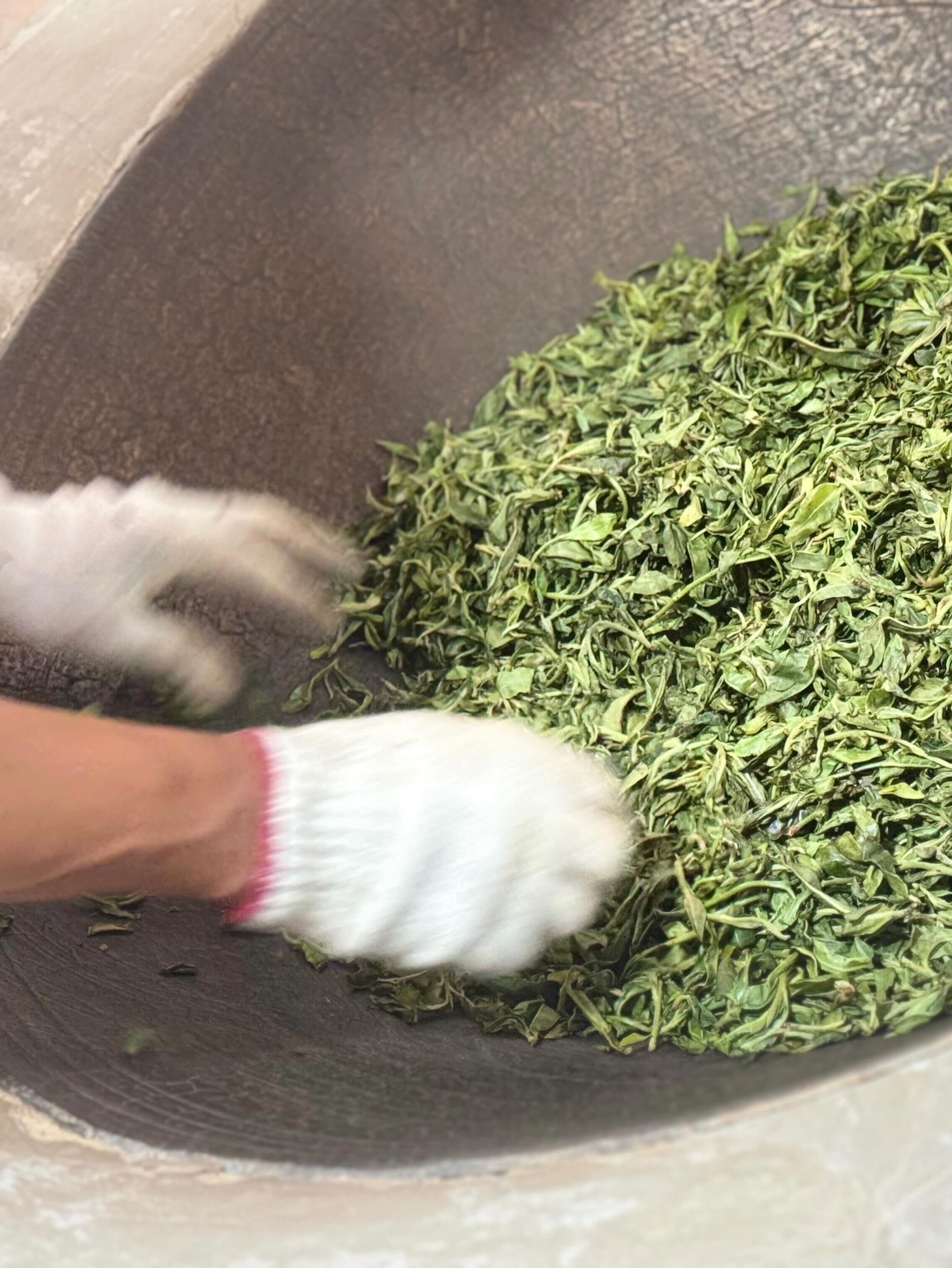 What does it really take to source great tea?It meant hiking into the forests of Yunnan, where farmers hand-pick every leaf and press it in a wok the same way they always have.We came to source Pu-erh. We stayed to understand it. 🍃#hencetea #puerhtea #yunnan #teafarming #springharvest