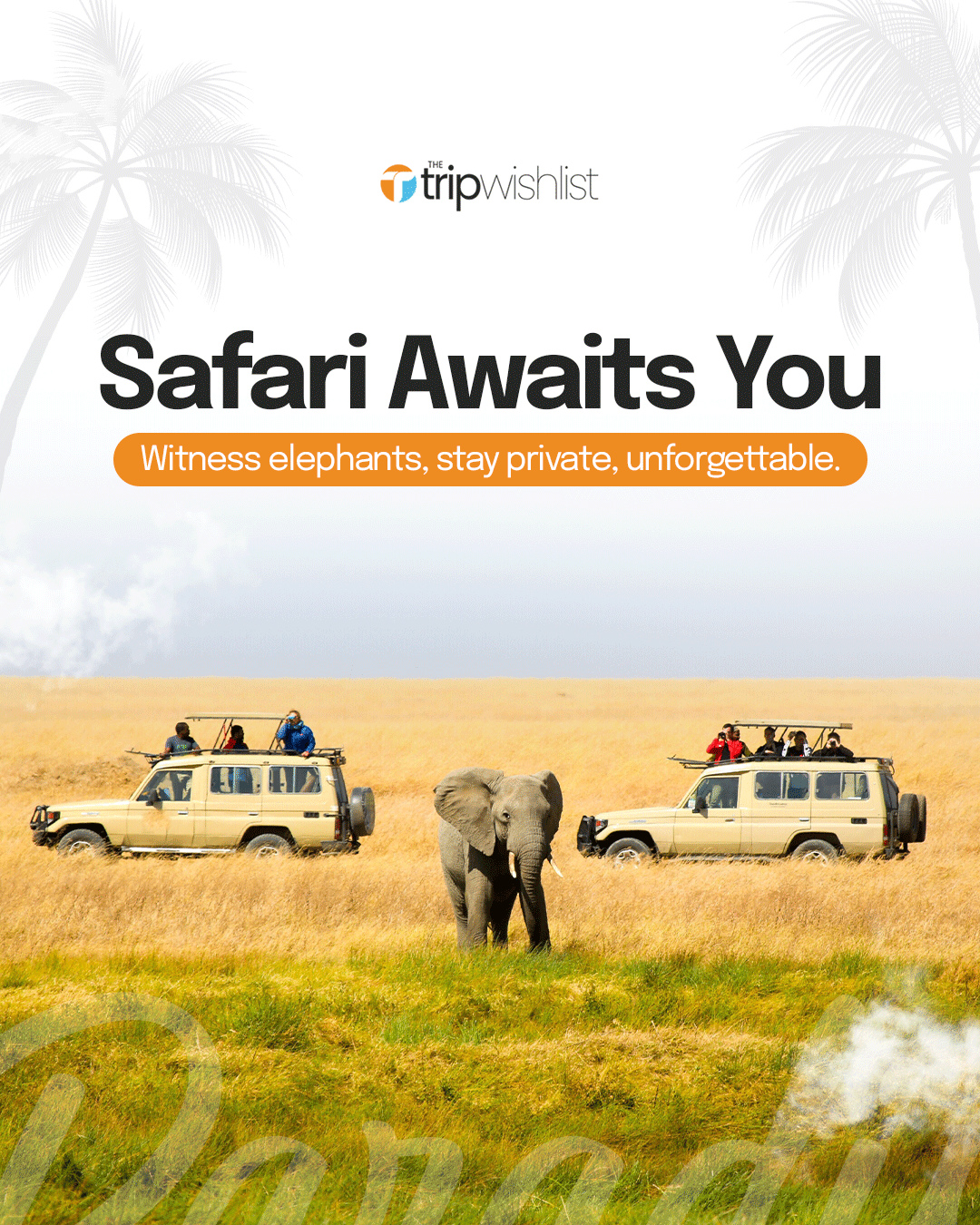 Witnessing majestic elephants in their natural habitat is a truly profound experience.The Trip Wish List curates exclusive, private stays that transform an ordinary vacation into an unforgettable bucket-list journey.We handle all the intricate details so you can immerse yourself in the beauty of the wild and enjoy unparalleled comfort.#TheTripWishList #SafariAdventure #LuxurySafari #TravelGoals #SafariAwaits Witnessing majestic elephants in their natural habitat is a truly profound experience.The Trip Wish List curates exclusive, private stays that transform an ordinary vacation into an unforgettable bucket-list journey.We handle all the intricate details so you can immerse yourself in the beauty of the wild and enjoy unparalleled comfort.#TheTripWishList #SafariAdventure #LuxurySafari #TravelGoals #SafariAwaits