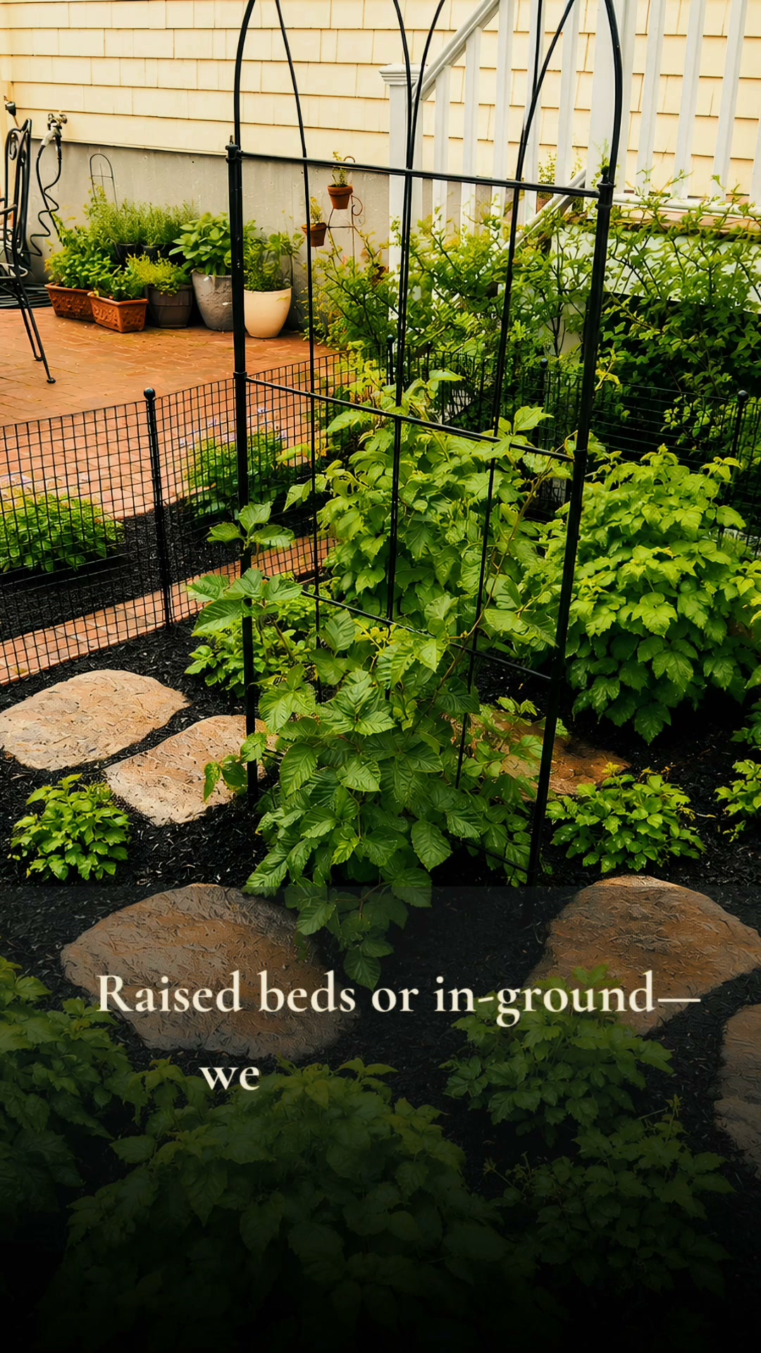 Imagine stepping outside on a summer morning and picking fresh raspberries, blackberries, or str....