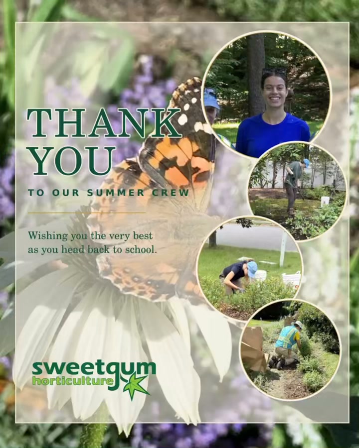 A heartfelt thank you to our summer crew, Andrei, Allison, Arianna, Sean, and Hannah! We are gra....