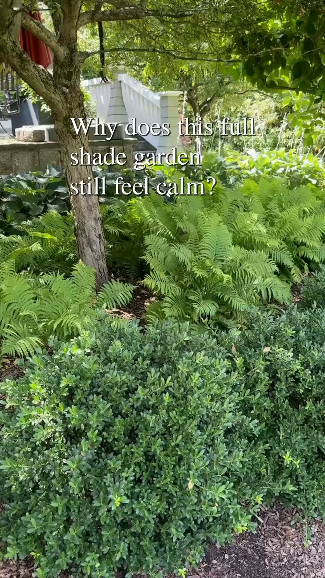 In this shade garden, repeated foliage shapes and generous plant groupings carry the eye through....